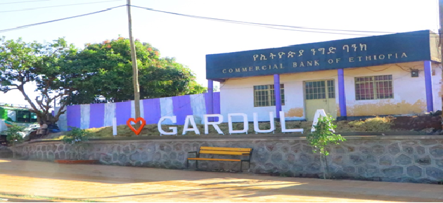 የተለያዩ አገልግሎቶችን የምሰጡ ተቋማት በጊዶሌ ከተማ