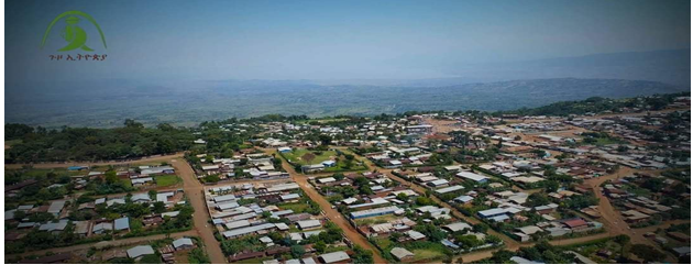 የፍቅር የአብሮነትና የአረንጓዴ ልማት አብነት